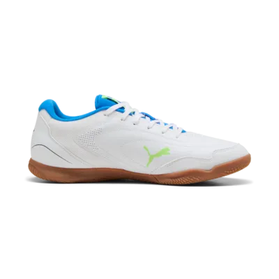 PUMA TRUCO IV indoor