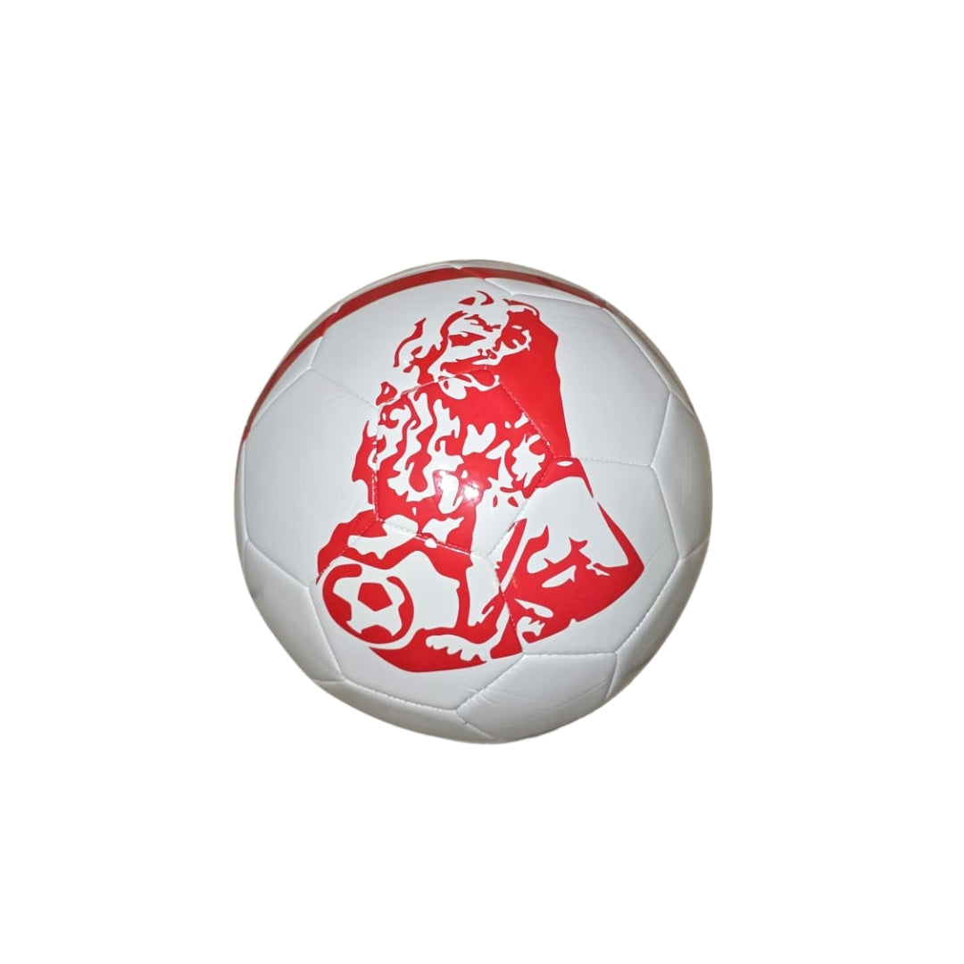 Pallone Team Altamura