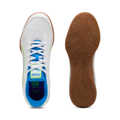 PUMA TRUCO IV indoor